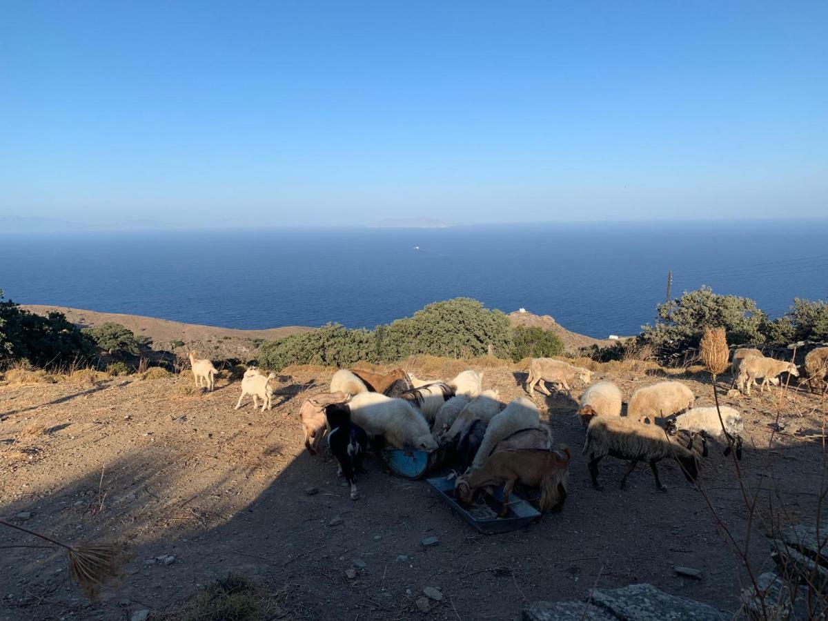 Sunrise Dream Lejlighed Agia Mavra Eksteriør billede